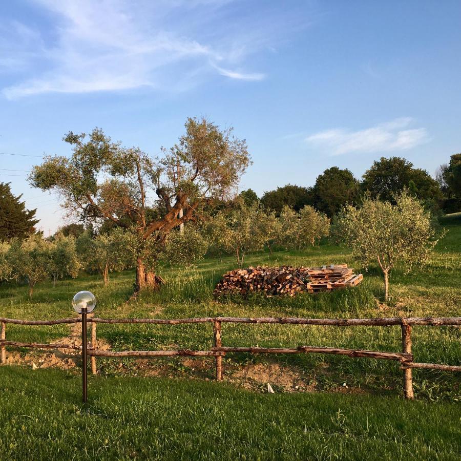 La Goiaba B&B Senigallia Kültér fotó
