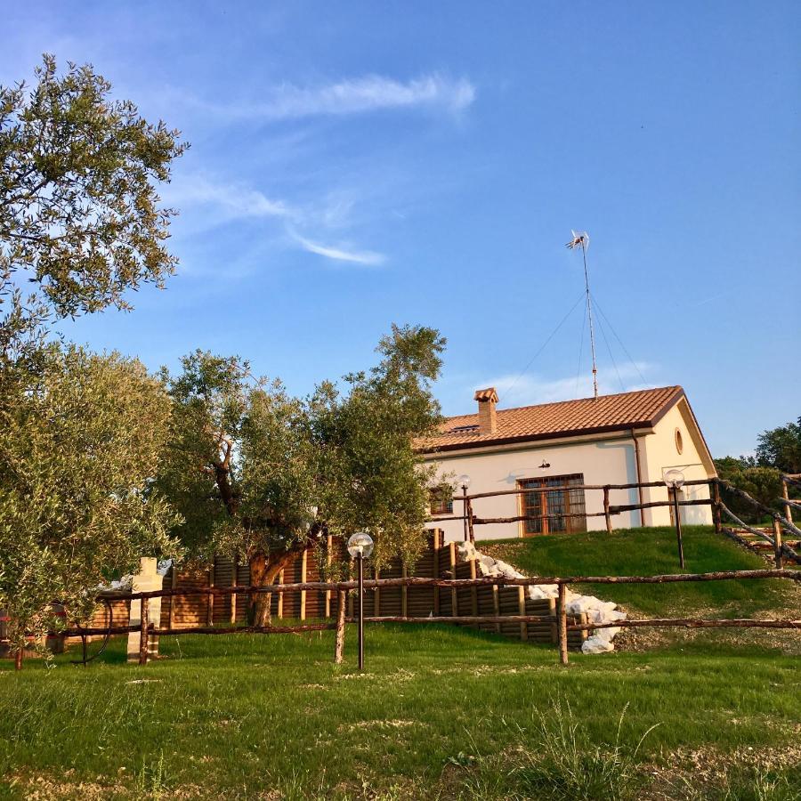 La Goiaba B&B Senigallia Kültér fotó